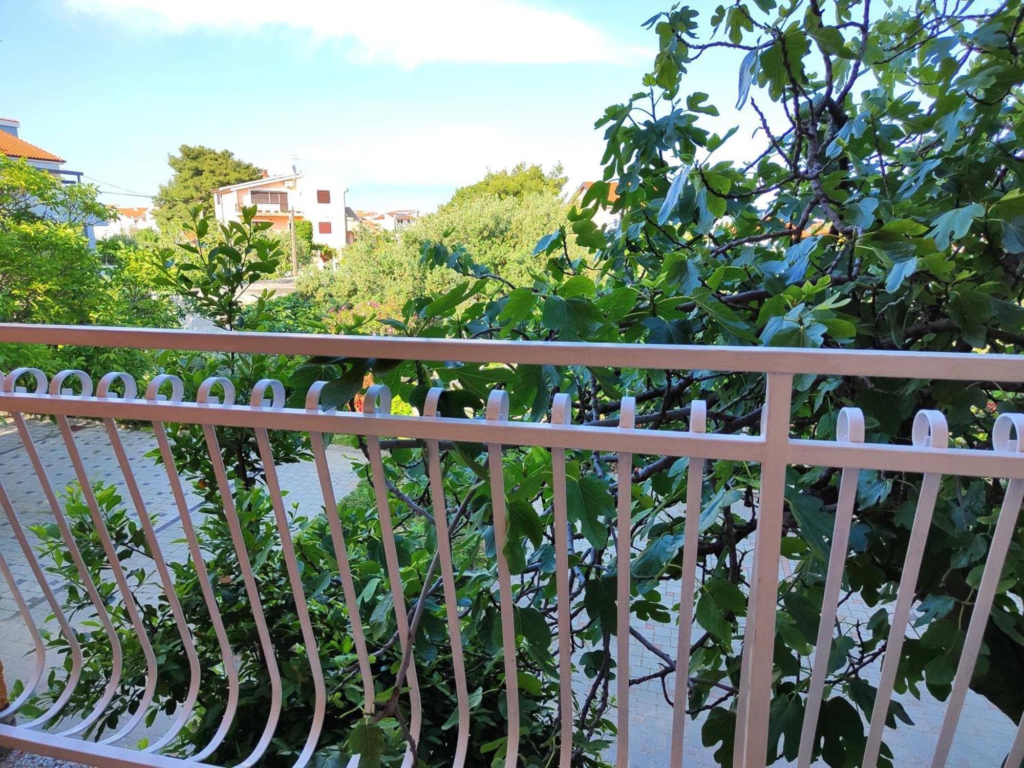 Apartmani Seka Vodice Dış mekan fotoğraf