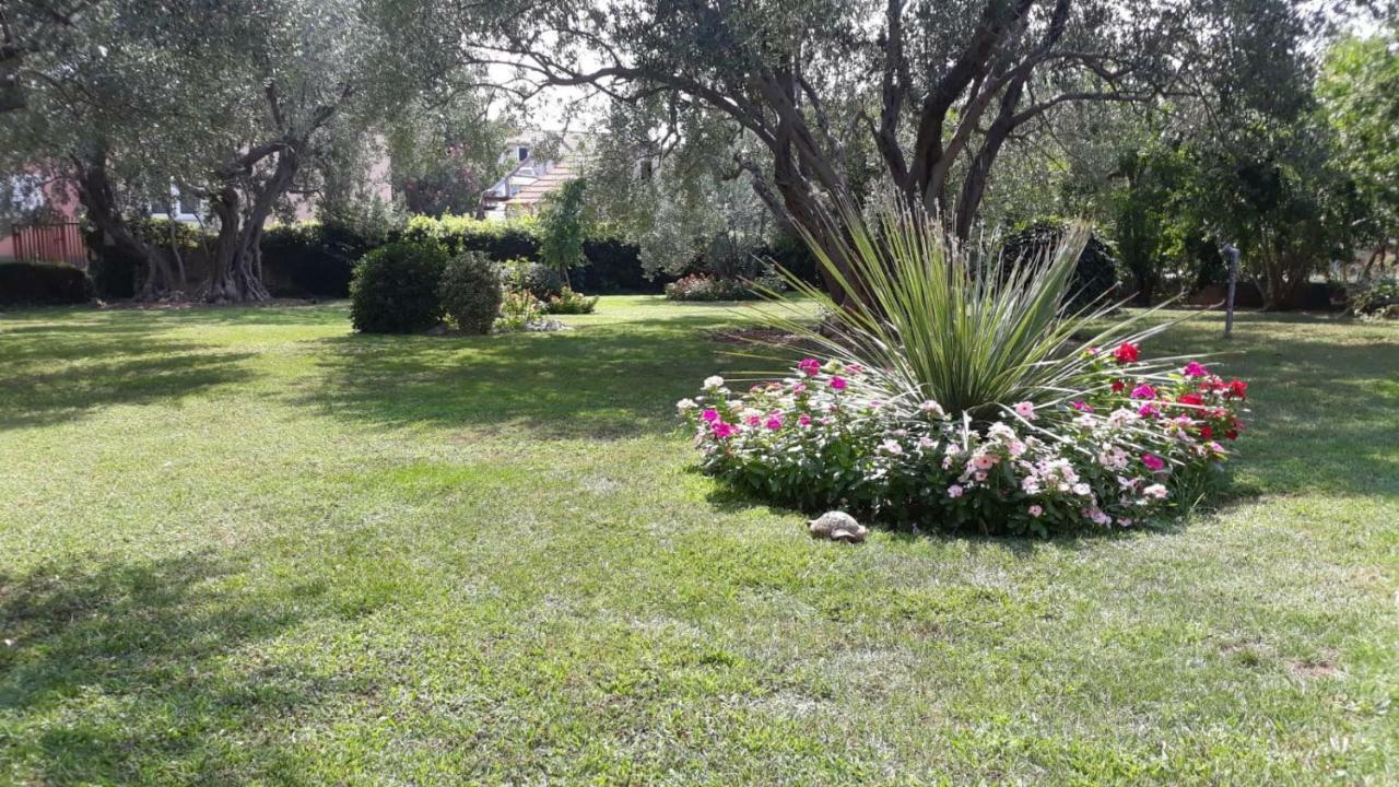 Apartmani Seka Vodice Dış mekan fotoğraf
